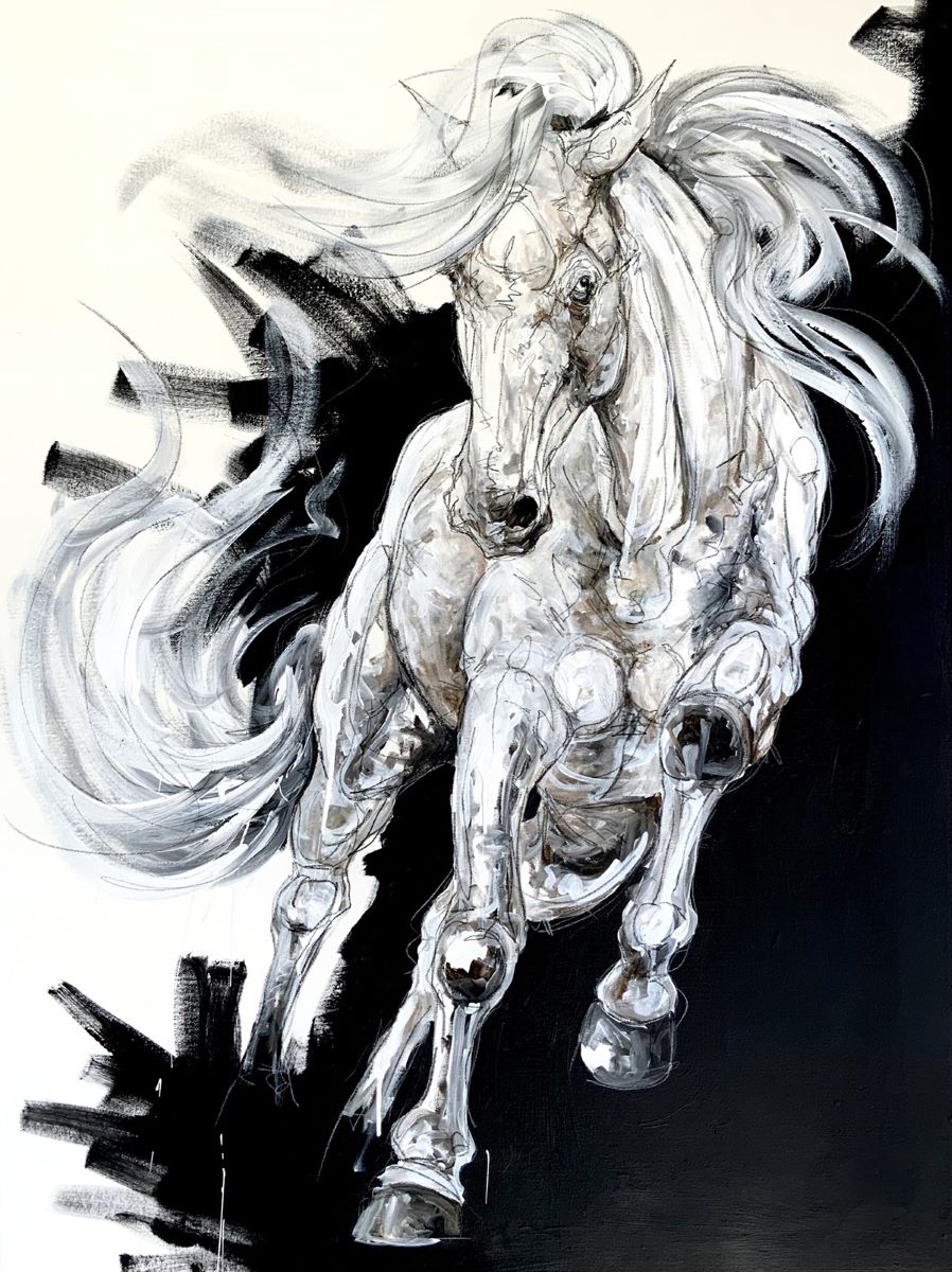 Sébastien Larochelle, Angelus Transit