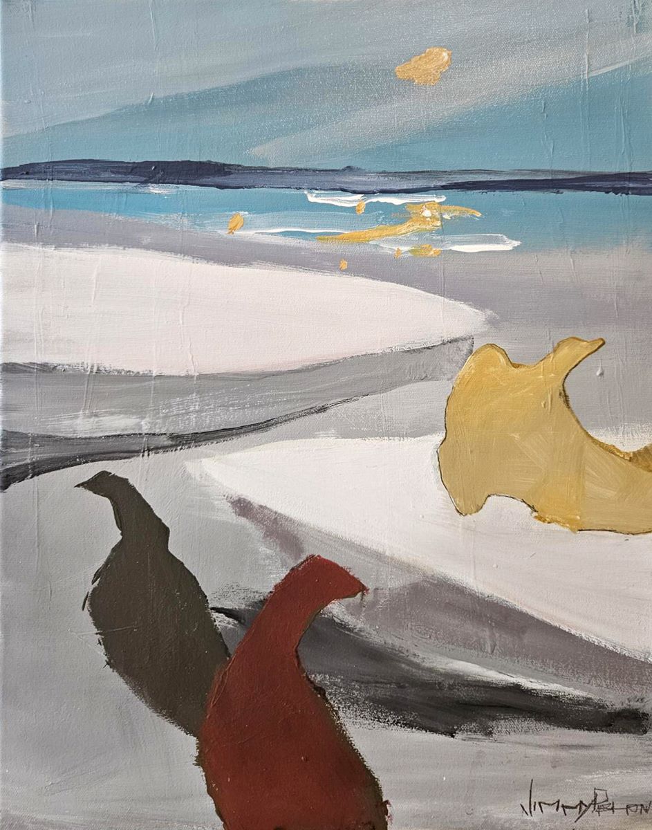 Jimmy Perron, Cormorans de toutes les couleurs