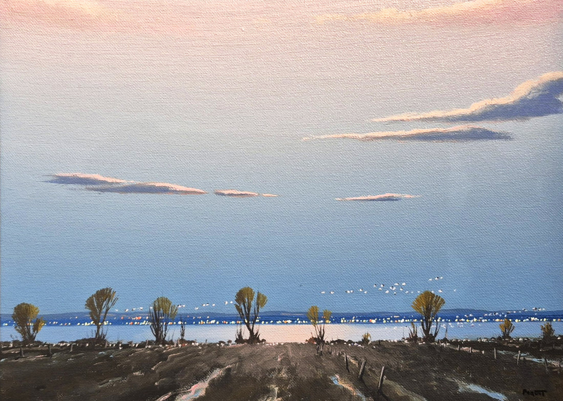 Guy Paquet, On dirait qu’ils chantent les oies....