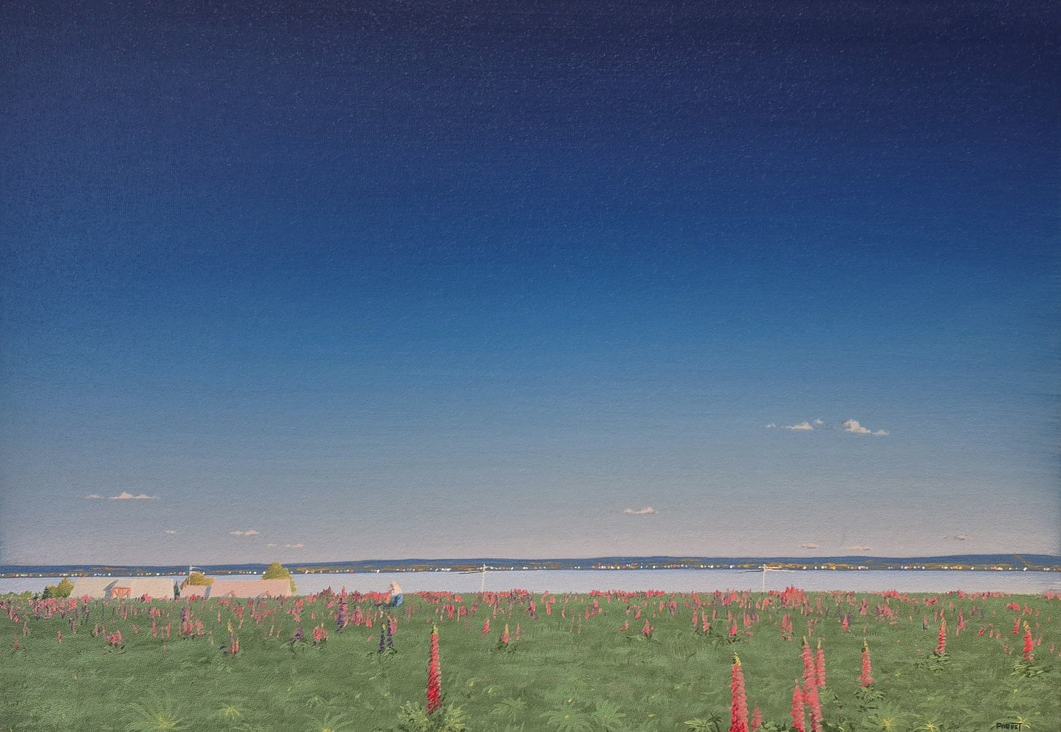 Guy Paquet, La cueilleuse de lupins