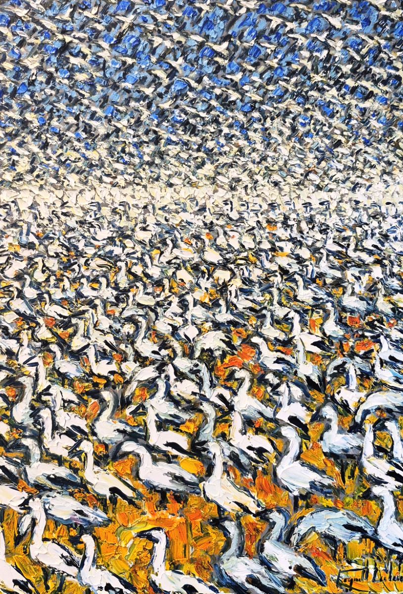Raynald Leclerc, Migration, les oies