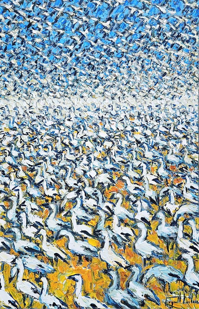 Raynald Leclerc, Migration, les oies
