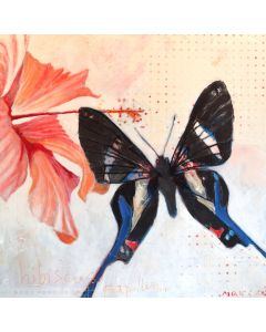 Hibiscus et papillon